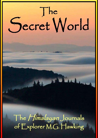 The Secret World book cover